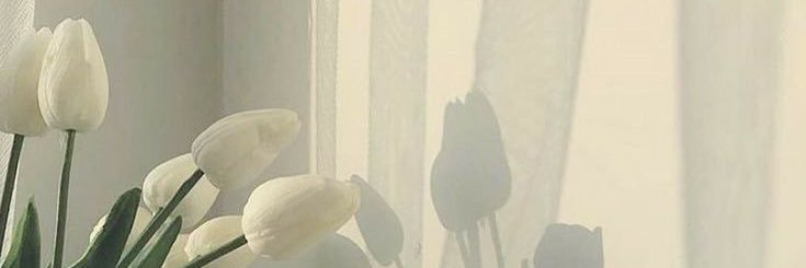 _chiiiitara's profile banner image