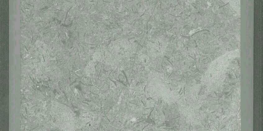 NM59513's profile banner image