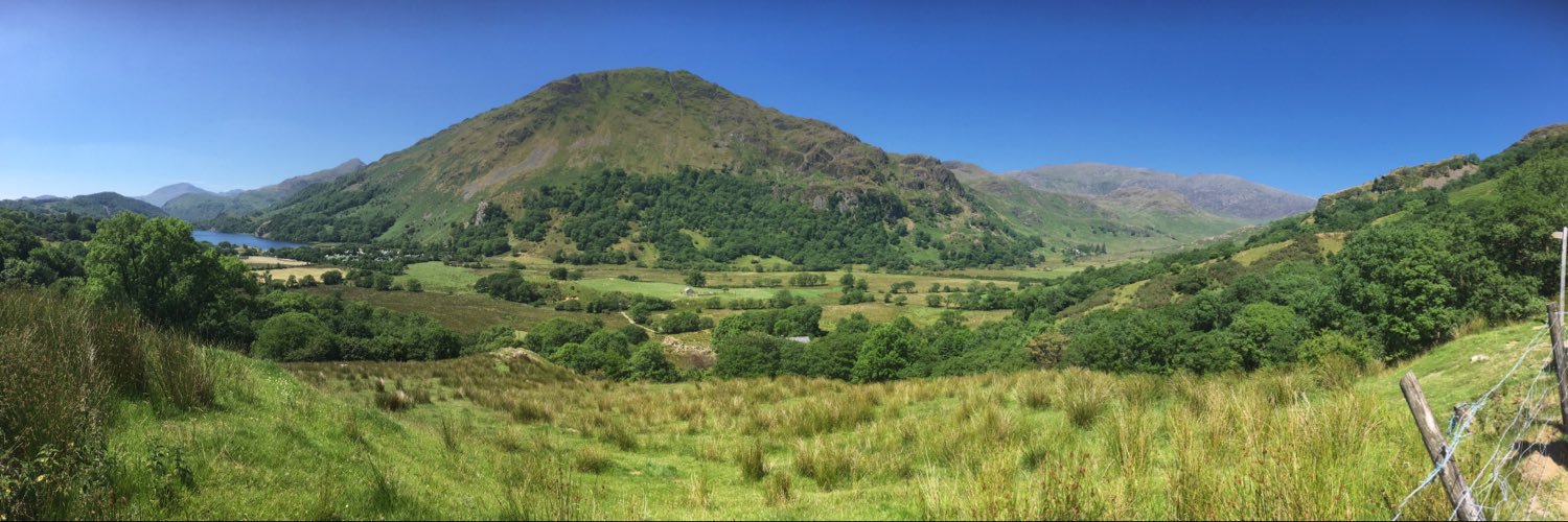 Johanna Rode-Margono banner