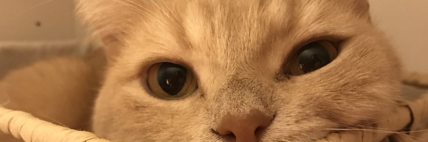 Loreenaabc's profile banner image