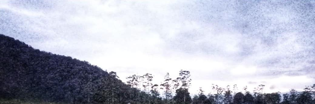 albertbzm04's profile banner image