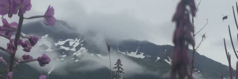 JakePelfrey97's profile banner image