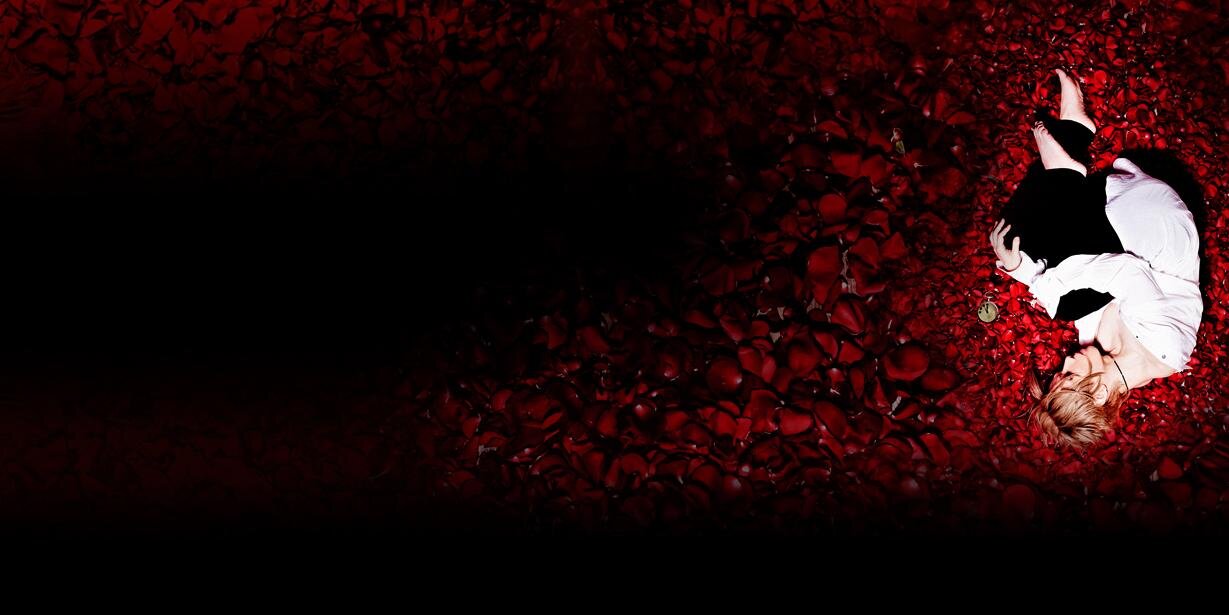 ritachibitan's profile banner image