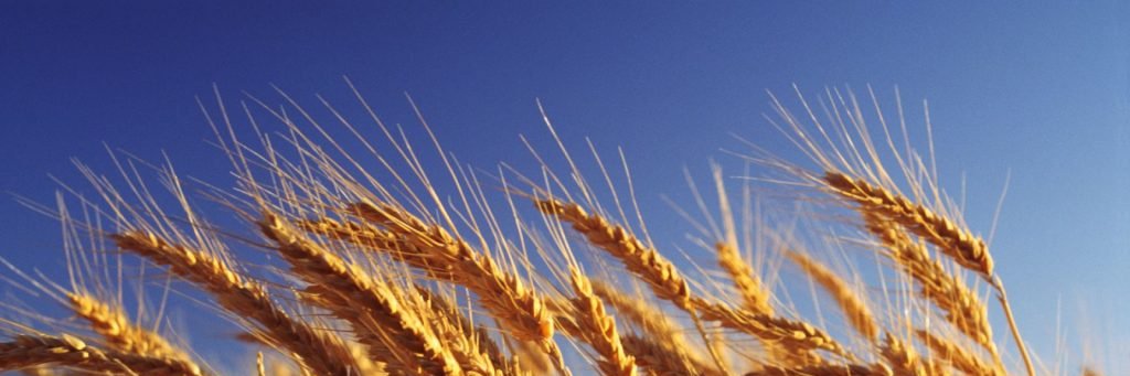 Джон Поллак banner