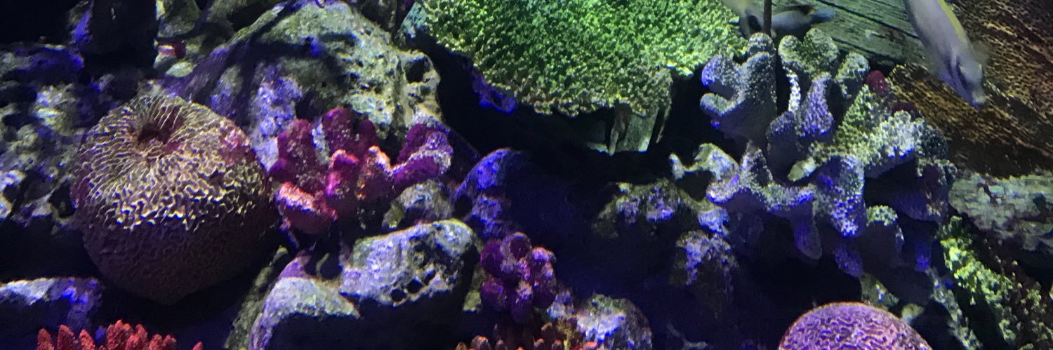 CeadKid's profile banner image