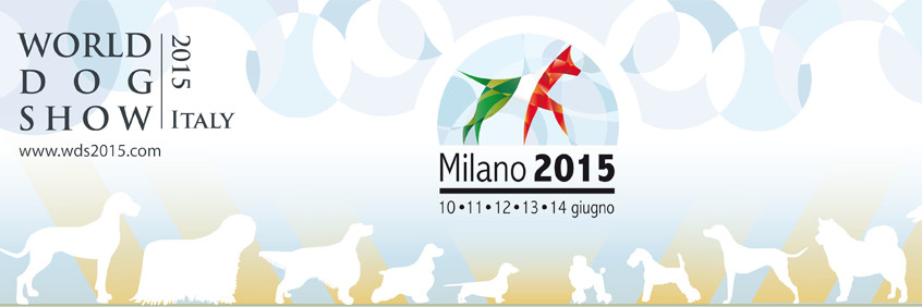WdsMilano2015's profile banner image