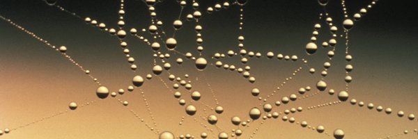 WebMeetupCgn Profile Banner