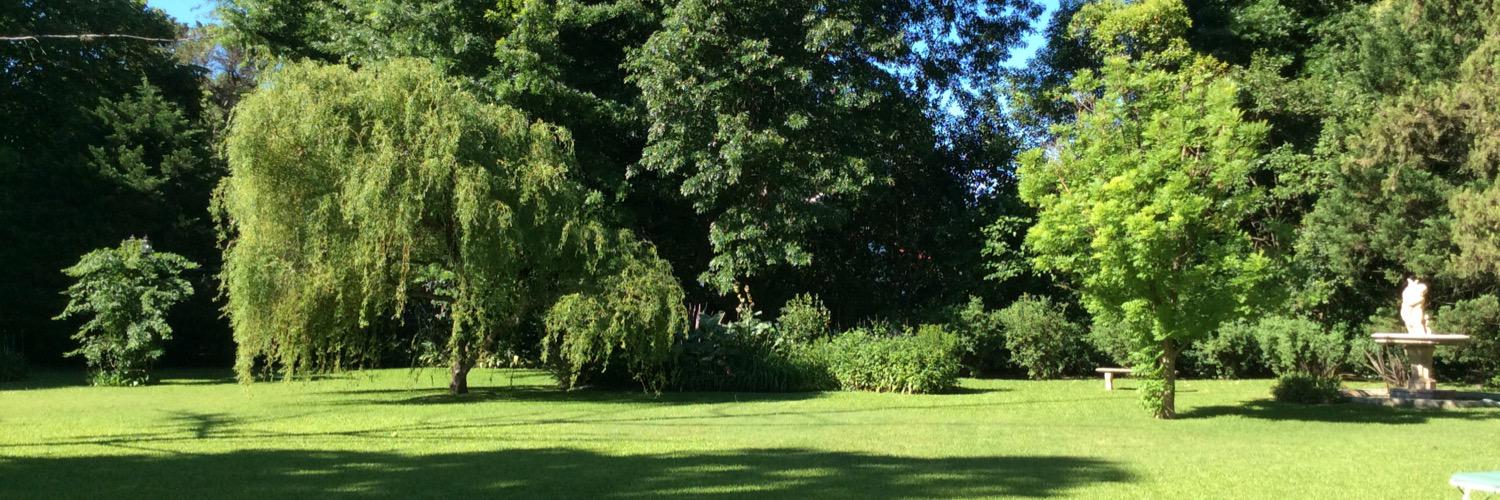 umbertt's profile banner image