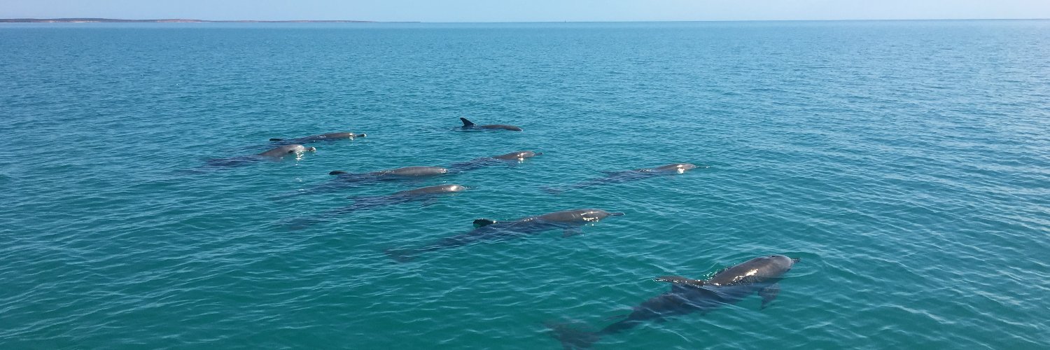 Pernille M Sørensen banner
