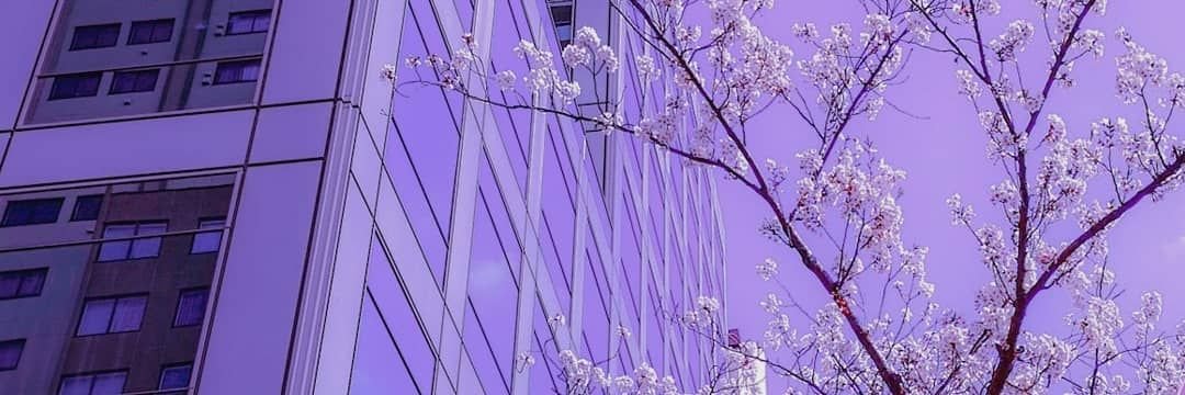 imaqtkat_'s profile banner image