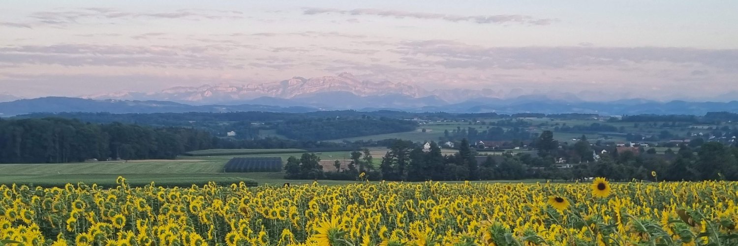 Alexander Klein banner