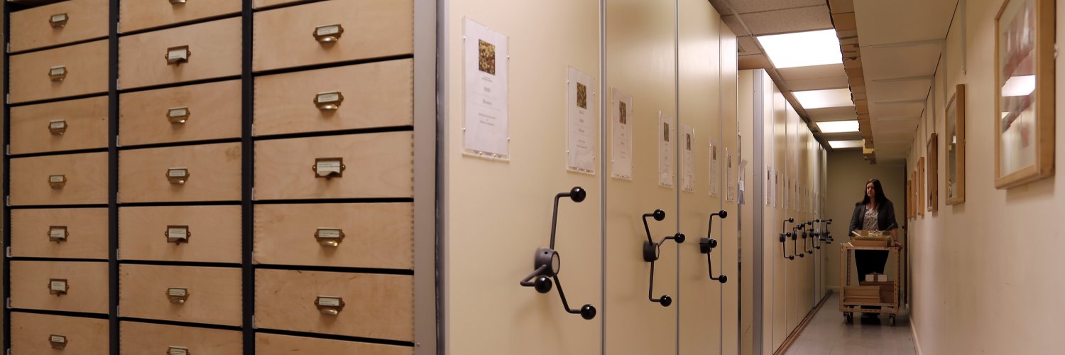 Katherine Slade banner