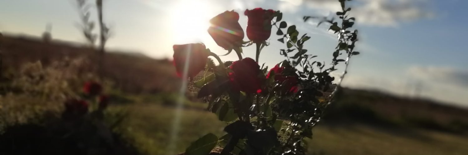 MJsori's profile banner image