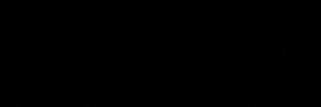 🌻 banner