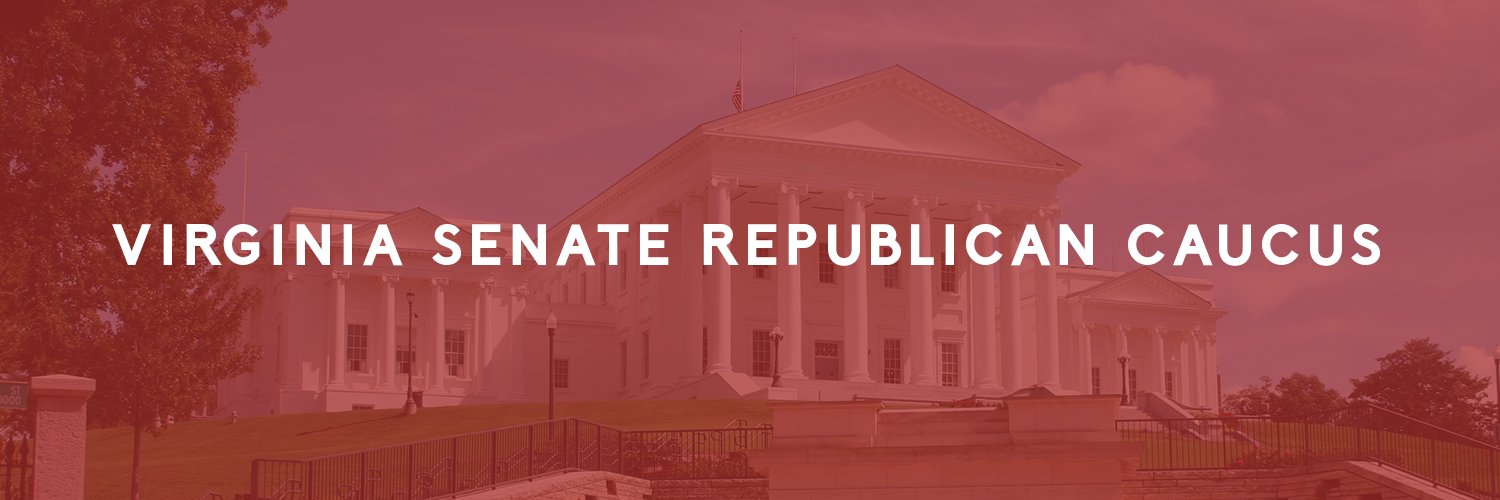 VA Senate GOP's banner