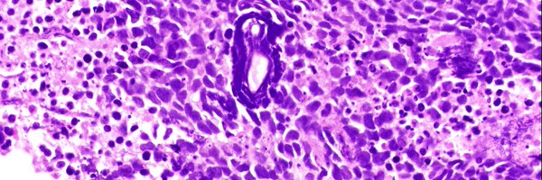 aubry_mc Profile Banner