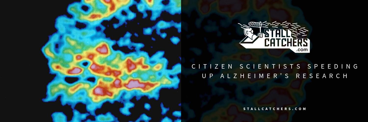 EyesOnALZ // moved to StallCatchers // banner