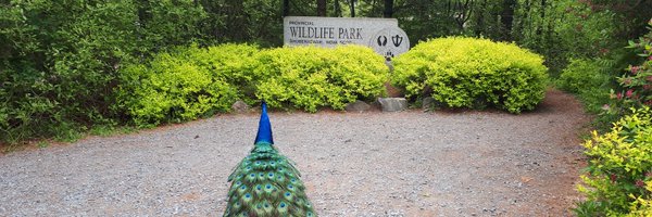 ShubenacadieSam Profile Banner