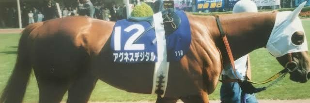taka3663's profile banner image