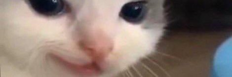 FlorespJuan's profile banner image