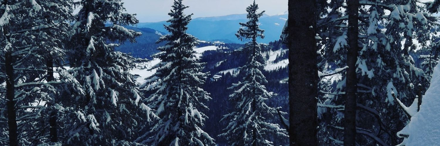 SqualzK banner