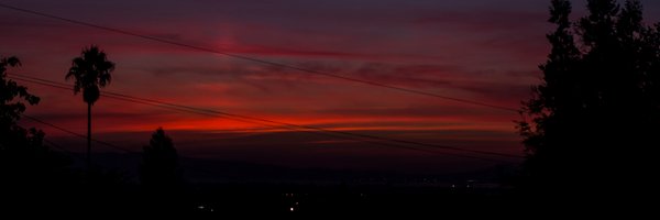 Taj510_ Profile Banner