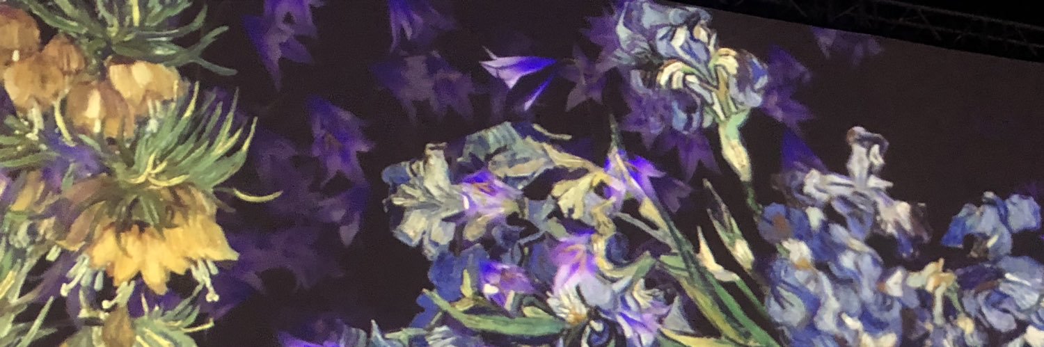 geralcepeda16's profile banner image