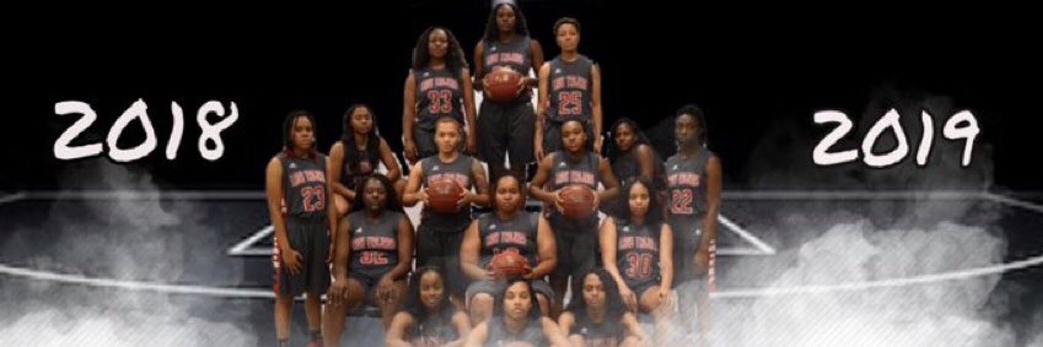 MDCC Women’s Basketball Profile Banner