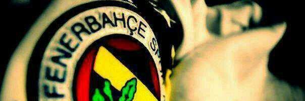sar_arf's profile banner image