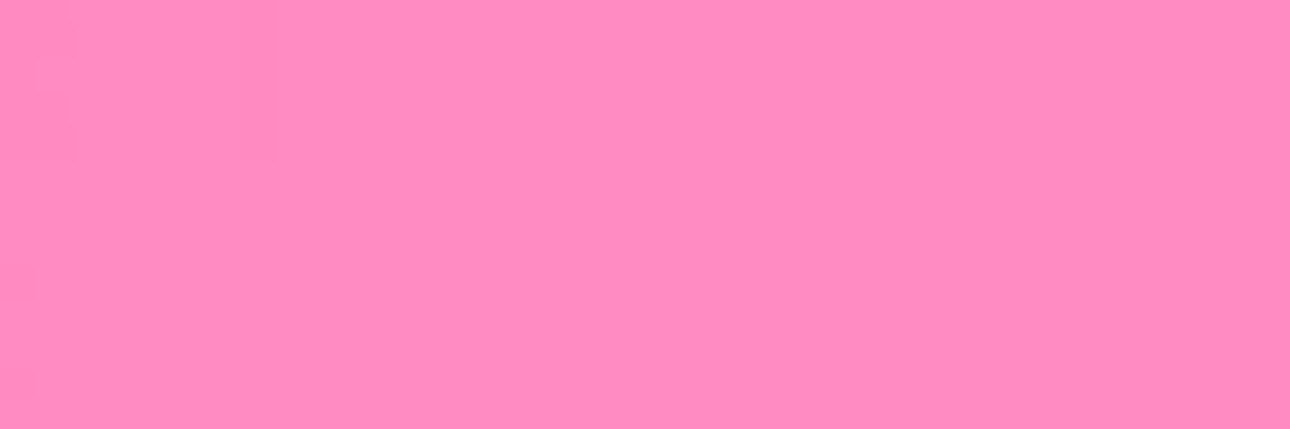 N A E's banner