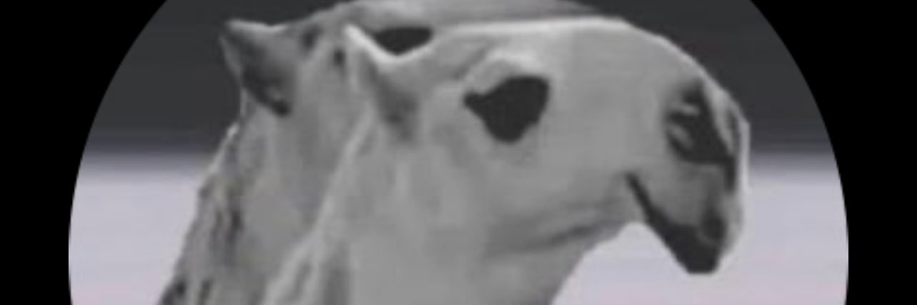 safeeralham's profile banner image