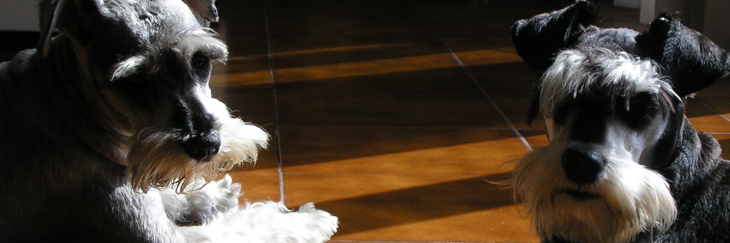 Nacho LS banner