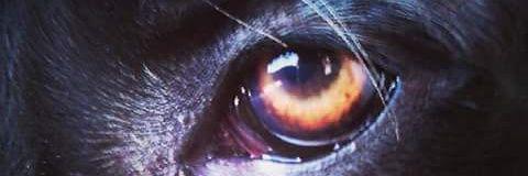 marie2968's profile banner image