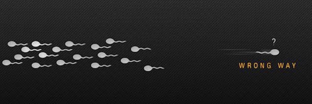 doguaar's profile banner image