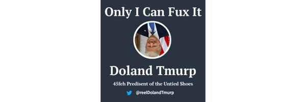 reelDolandTmurp Profile Banner