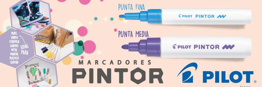 PilotChile's profile banner image