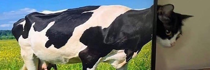 Edurpack_deggs's profile banner image