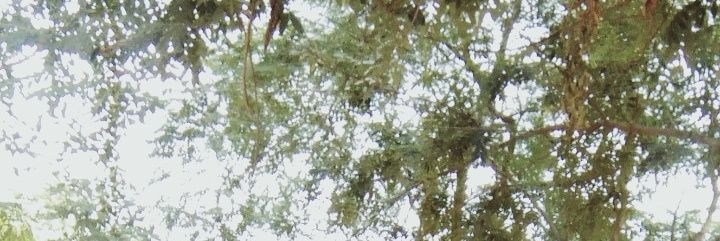 NitinRa44943709's profile banner image