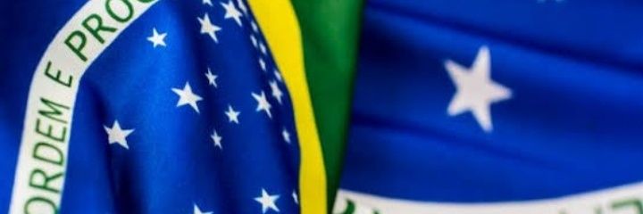 Erika von Blücher banner