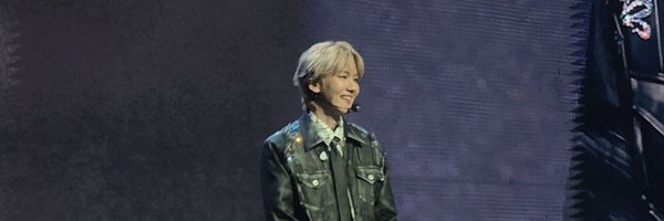 tekitafernandes Profile Banner