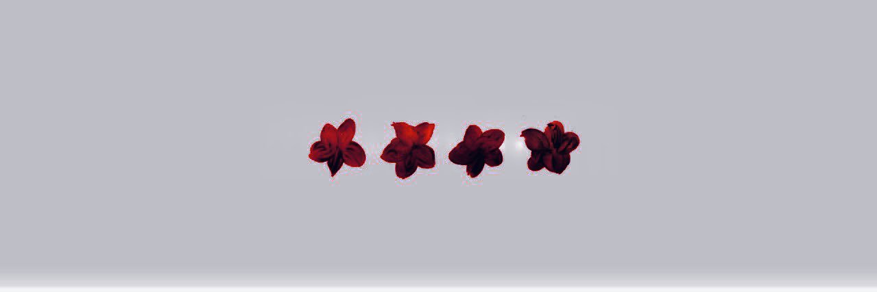 lauren :) banner