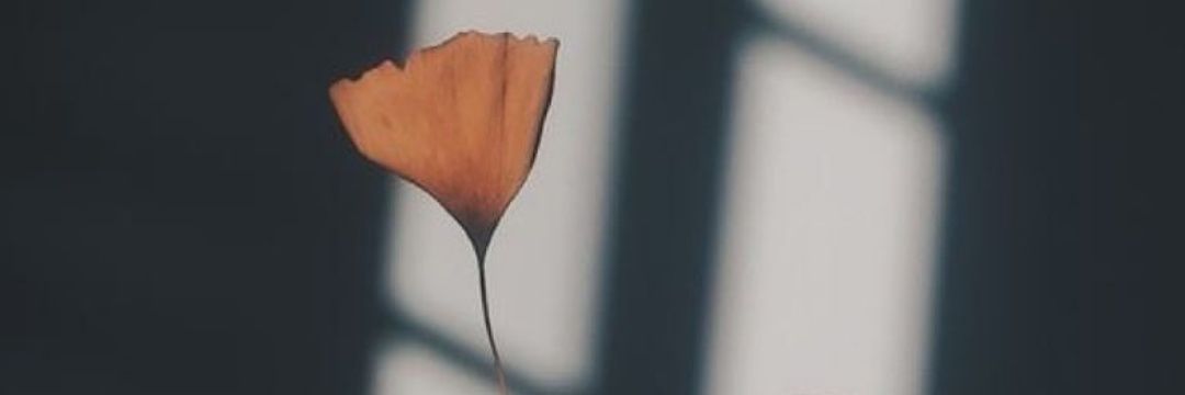 Craving_tinyy's profile banner image