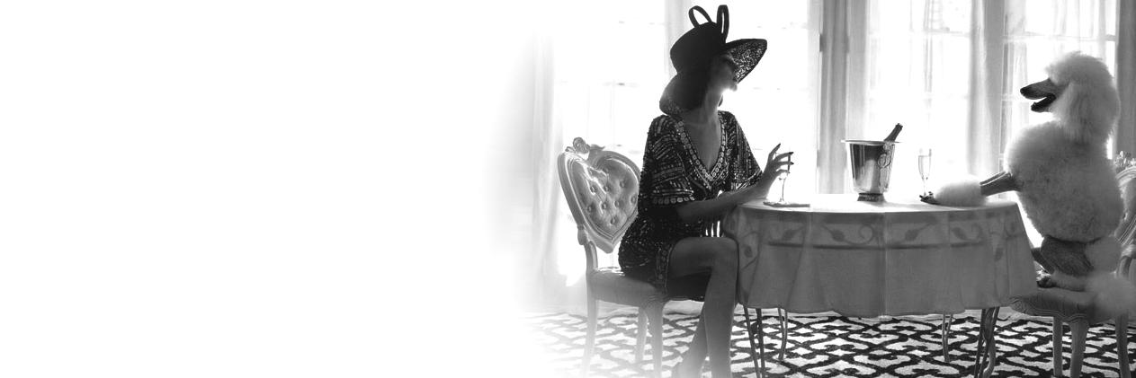 _FashionPets_'s profile banner image