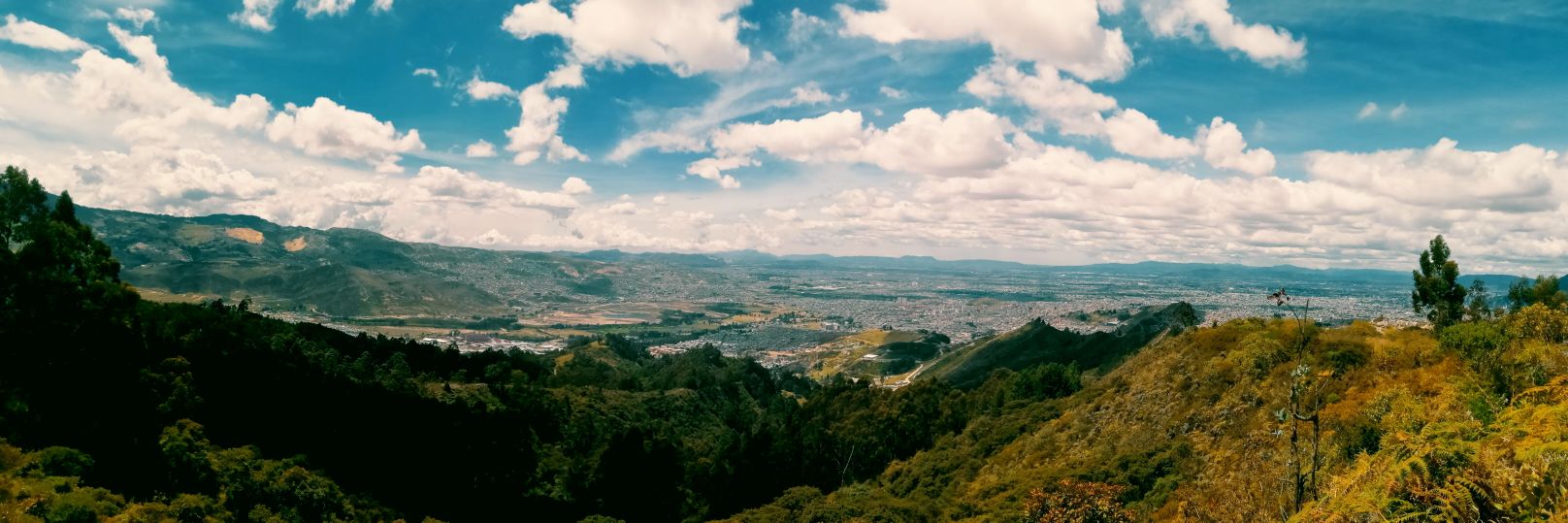 jailoncho's profile banner image