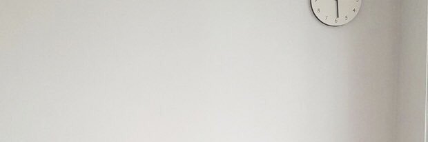 bonnie banner