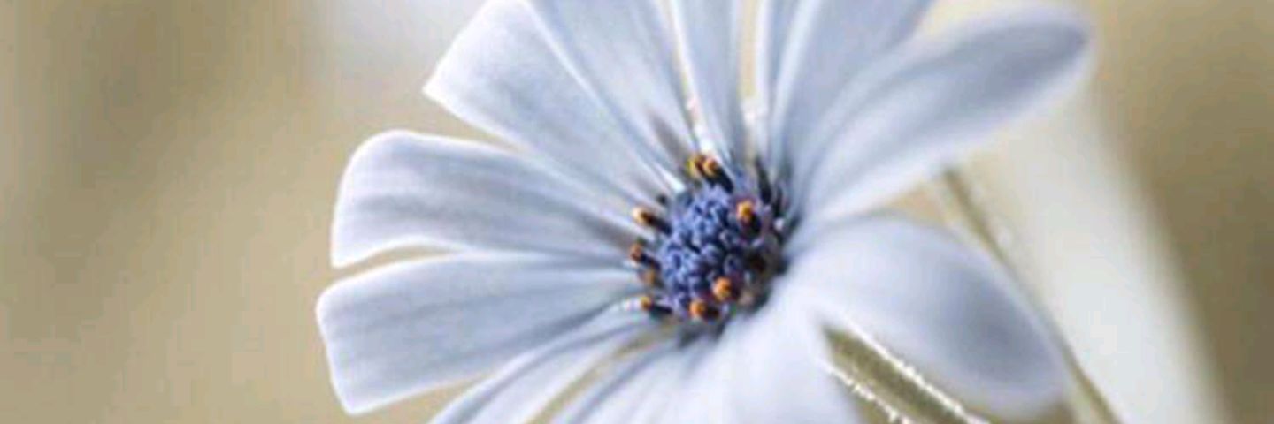 h00h10001's profile banner image