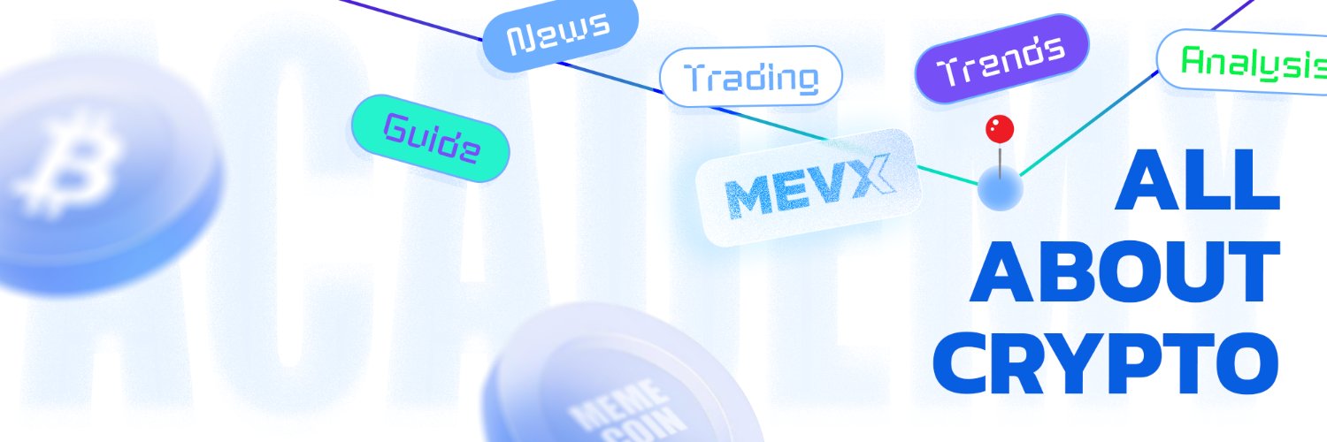 MevXAcademy's profile banner image