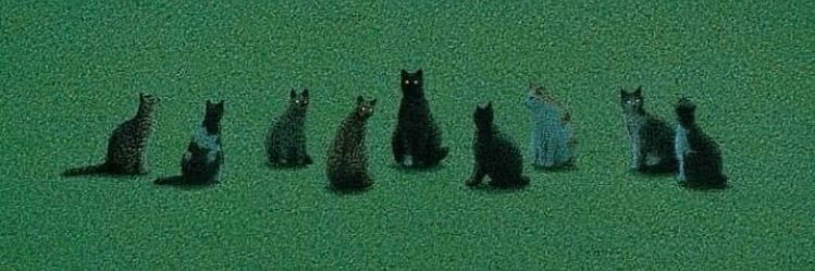 PhycoTech96's profile banner image