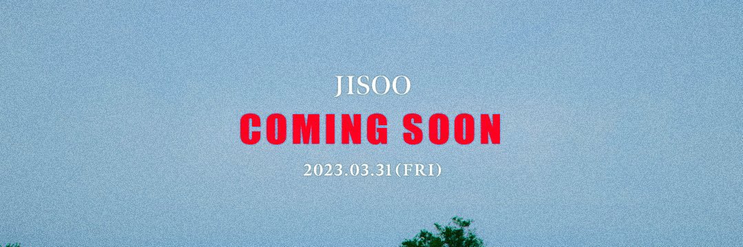 m | ꪔ̤̮ banner