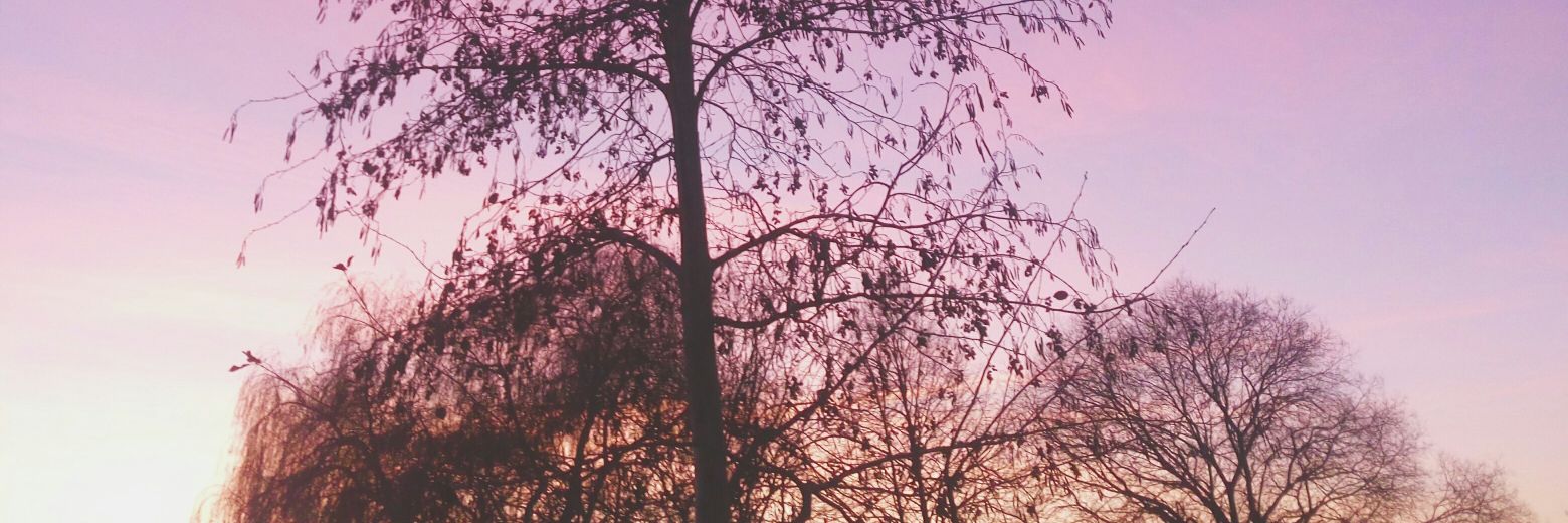 Autunia's profile banner image